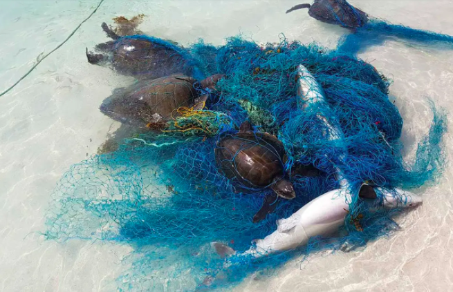 Lost fishing nets are often plastic